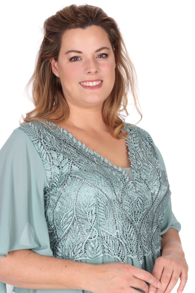 Welma salie - Afbeelding 2