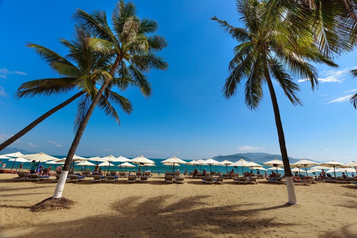 strand met palmbomen
