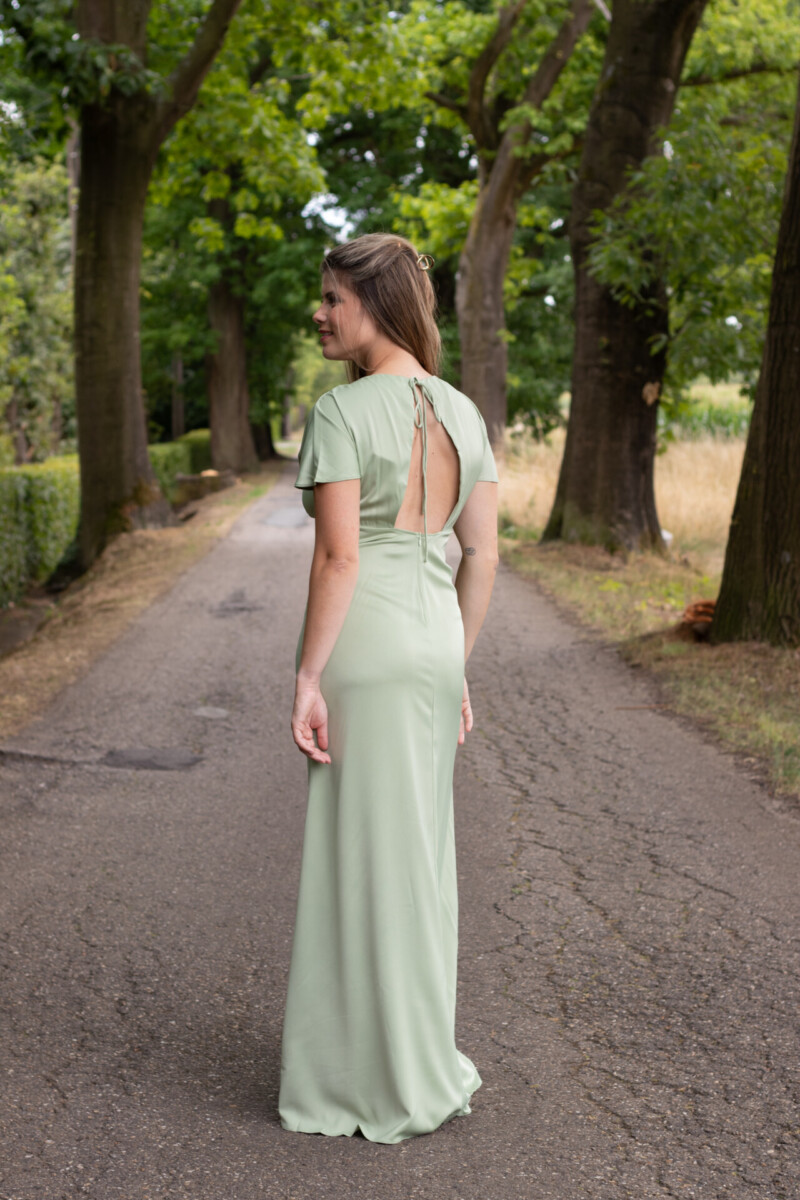 Emily limoen - Afbeelding 2