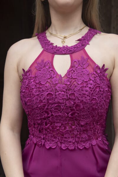 Alternative view of Alianne fuchsia