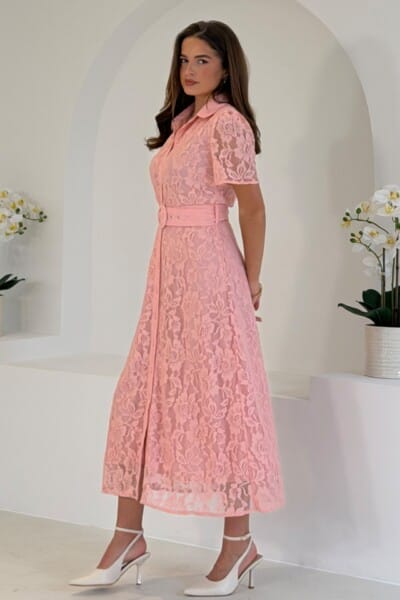 Alternative view of Kansy roze