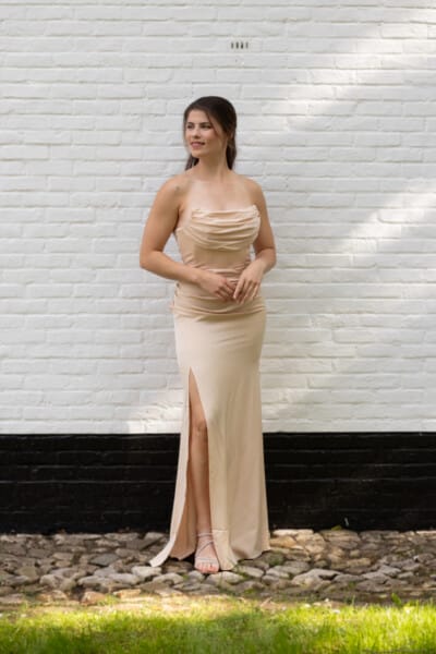 Elovi goud